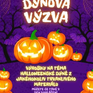 dynova_vyzva_original